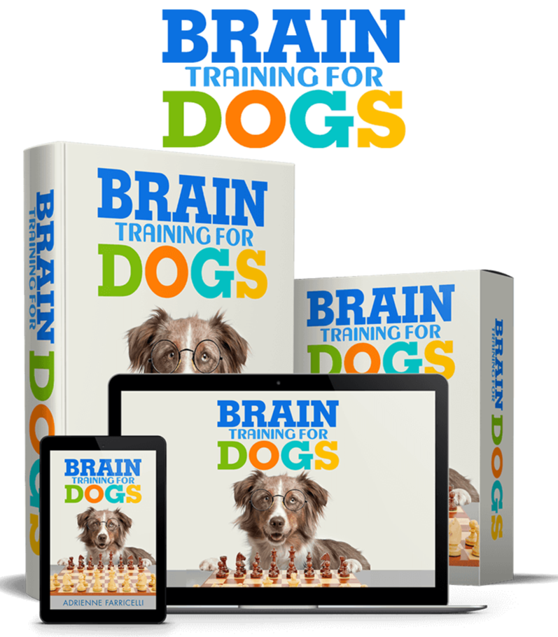 Brain Training for Dogs